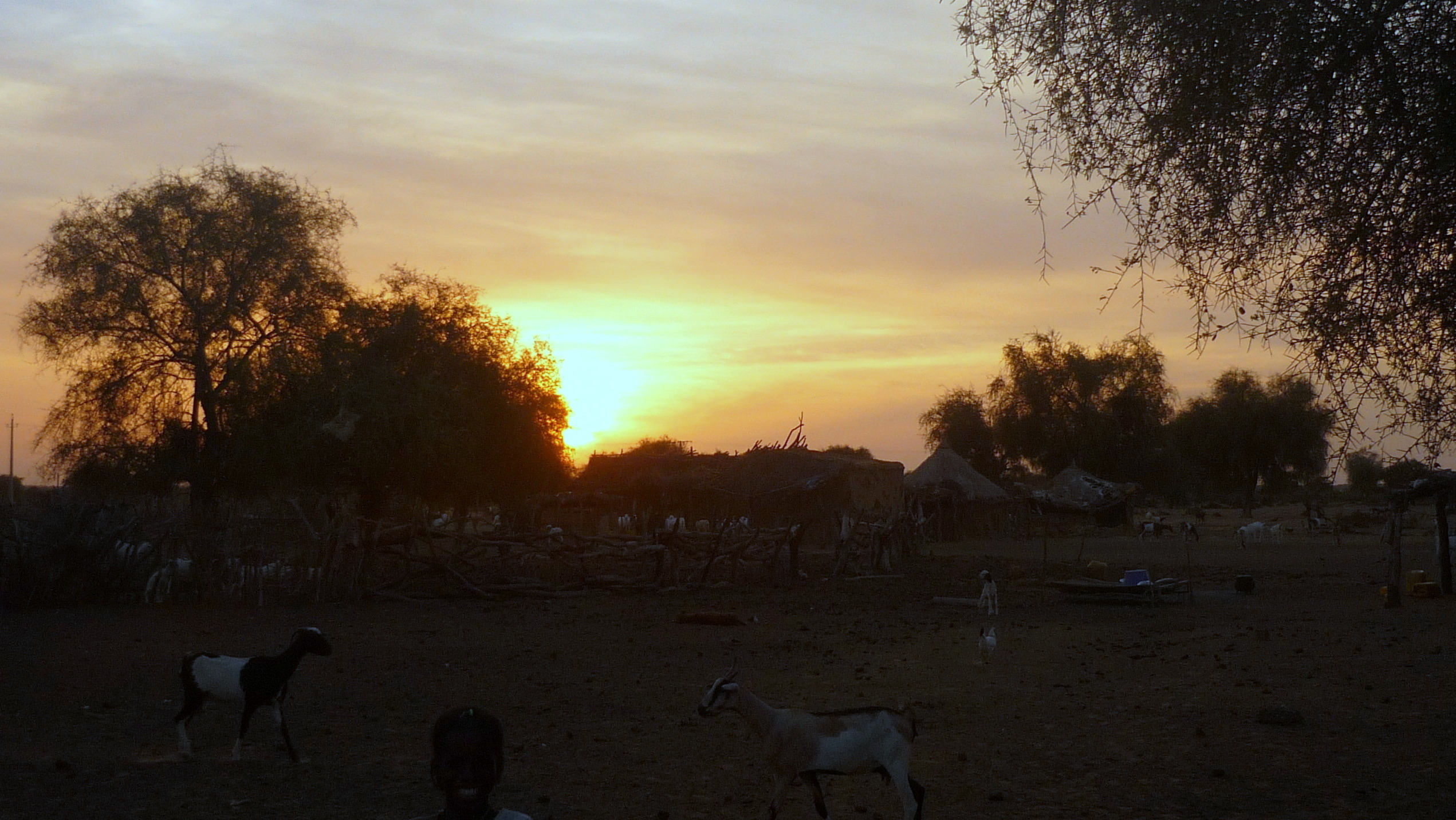 2010 11 village 30 