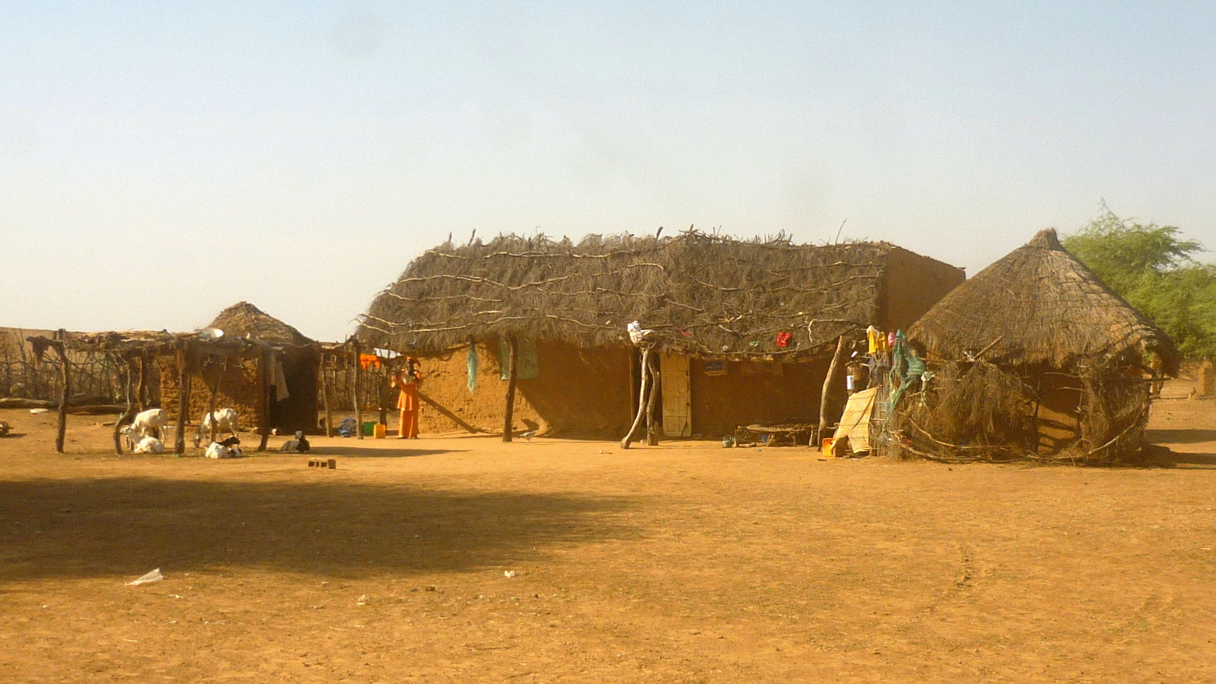2010 11 village 34 