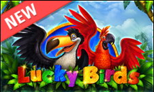 Lucky birds