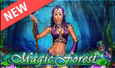 Magic forest