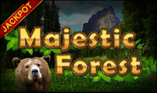 Majestic forest