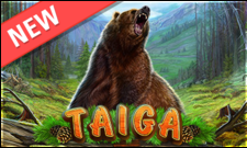 Taiga
