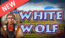 The wild wolf