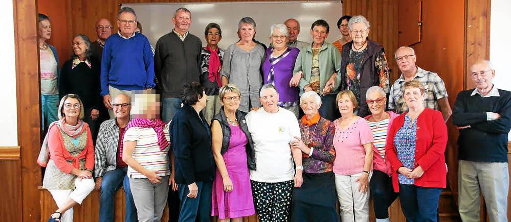 Les membres pixelises