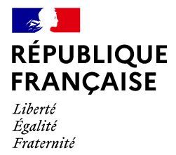 Propriétaire - Déclaration en ligne