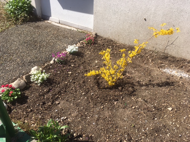 Fleurs-2