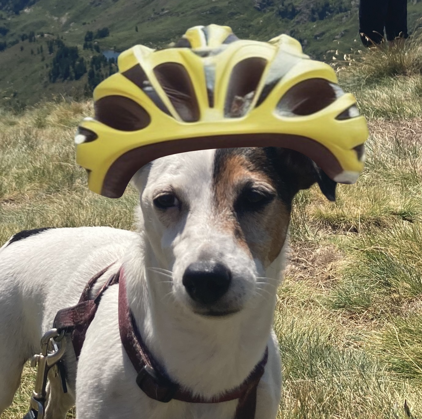 Moupette casque