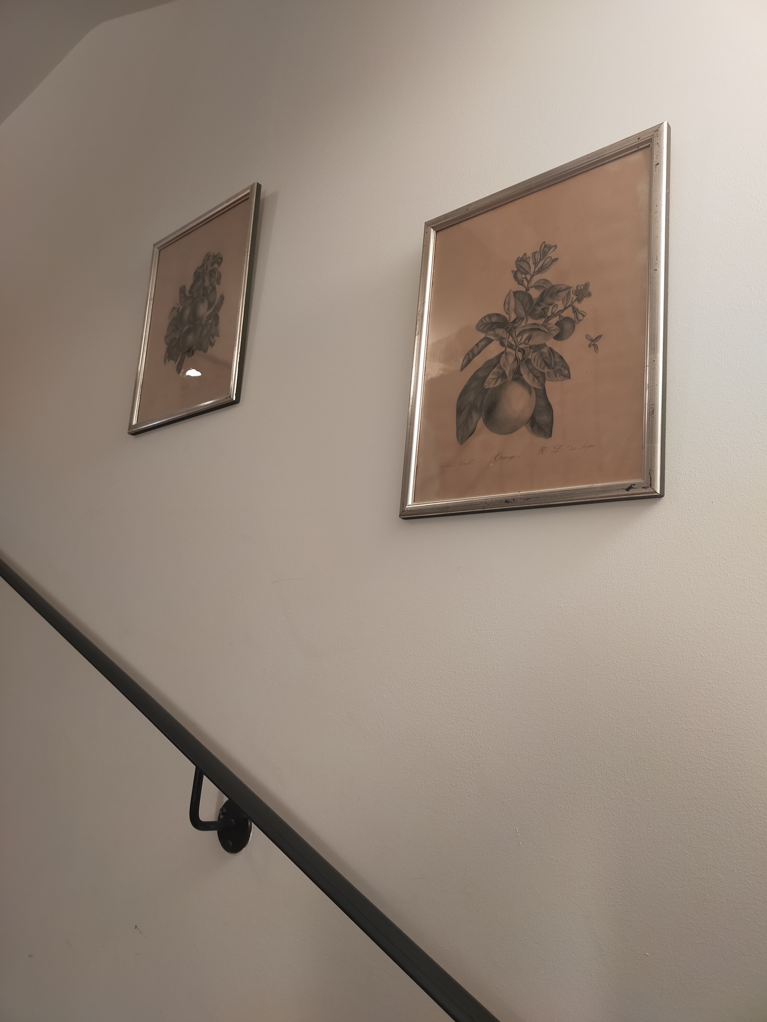 Img20251001104826