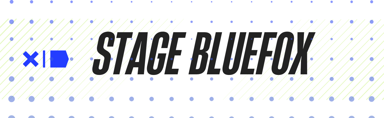 Copie-de-stage-bluefox