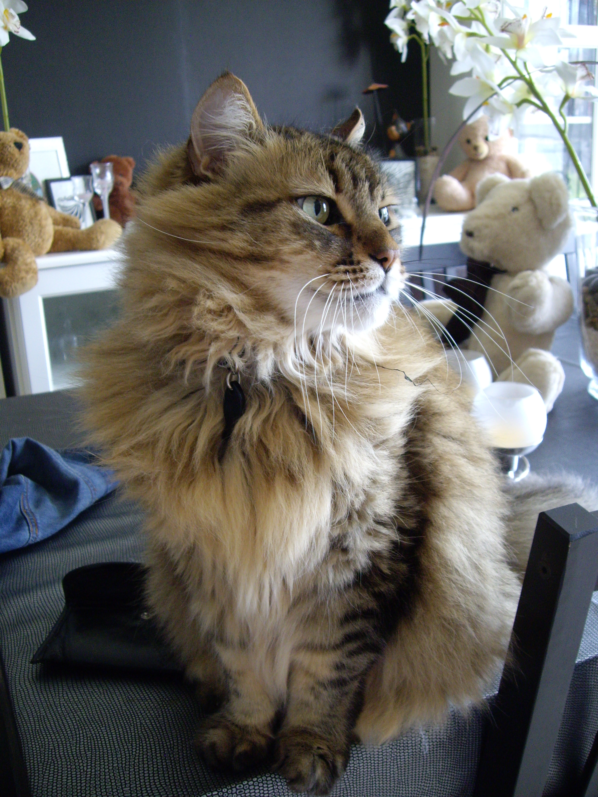 Imgp0992