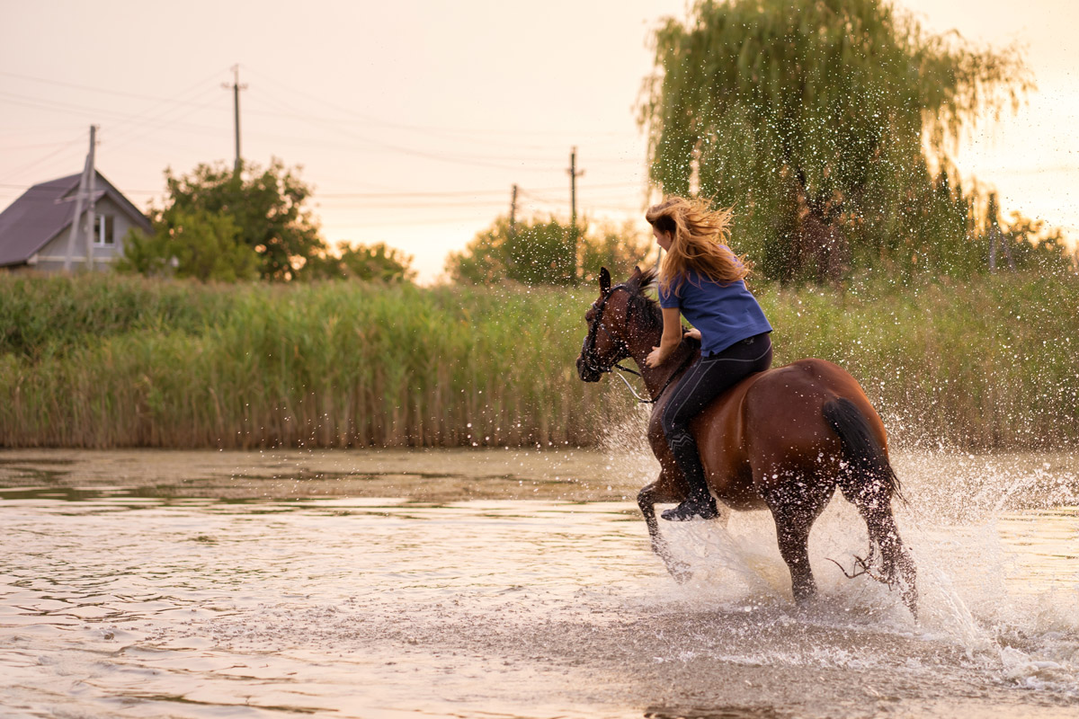 Les3Roses-Equitation2