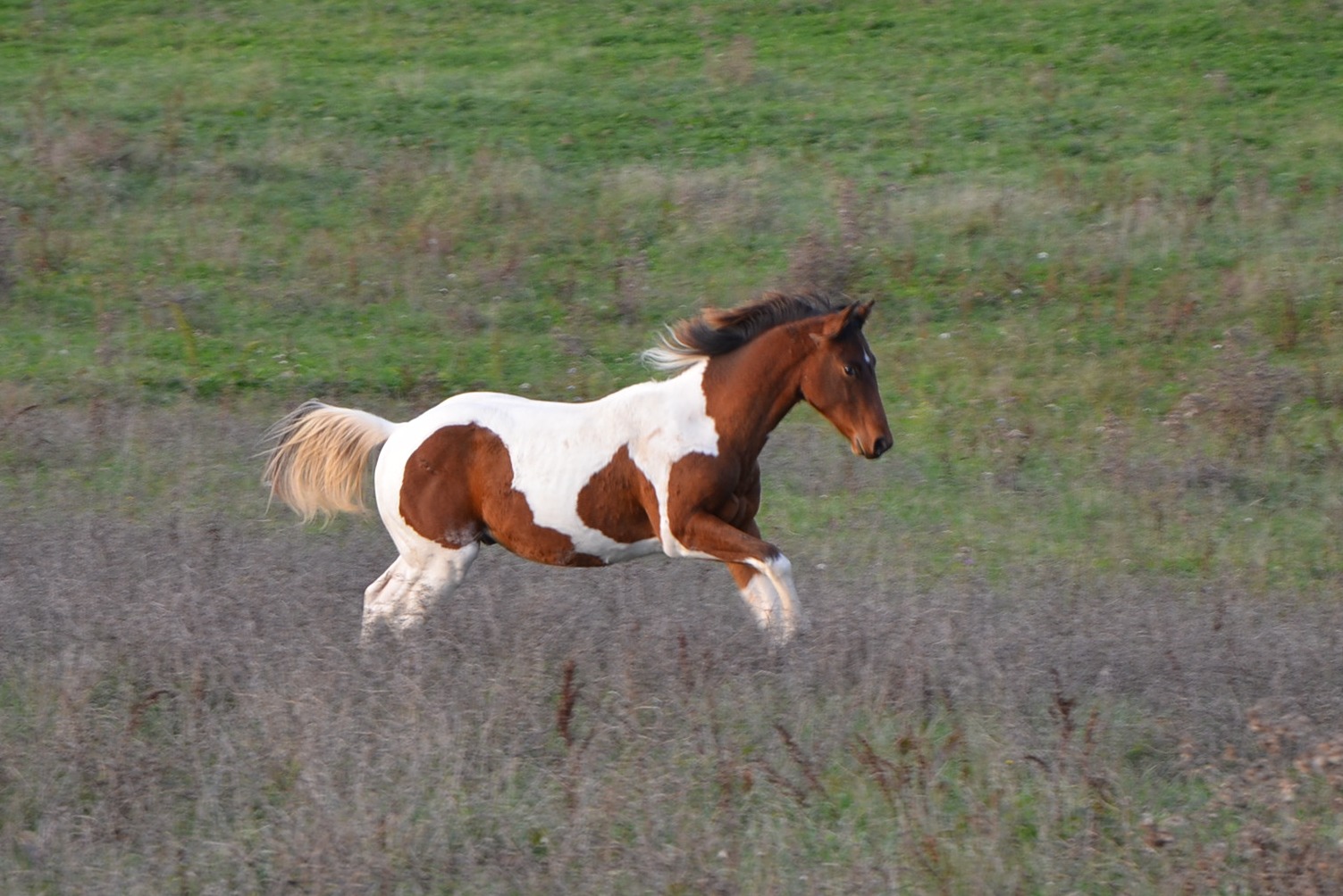 DSC 1643 revu