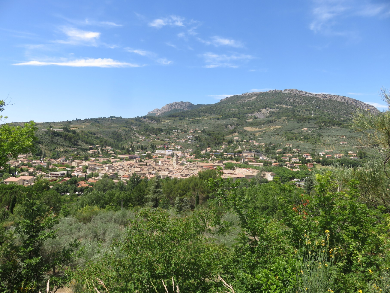 Drome 15