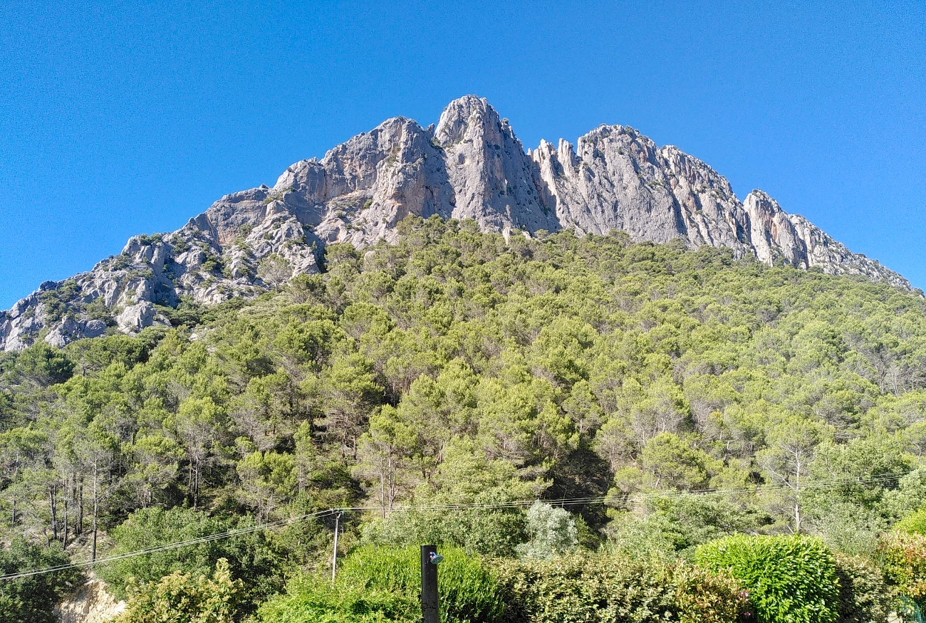 Drome 4