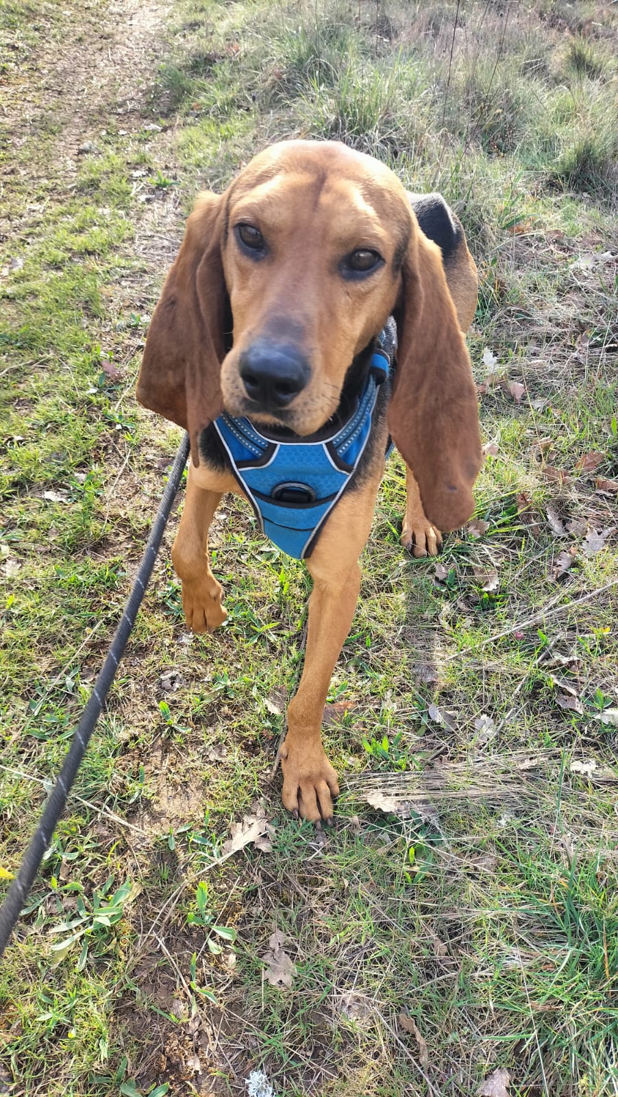 Whatsapp image 2025 03 23 at 19 15 31 1 