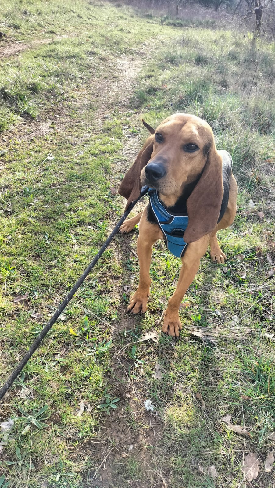 Whatsapp image 2025 03 23 at 19 15 30