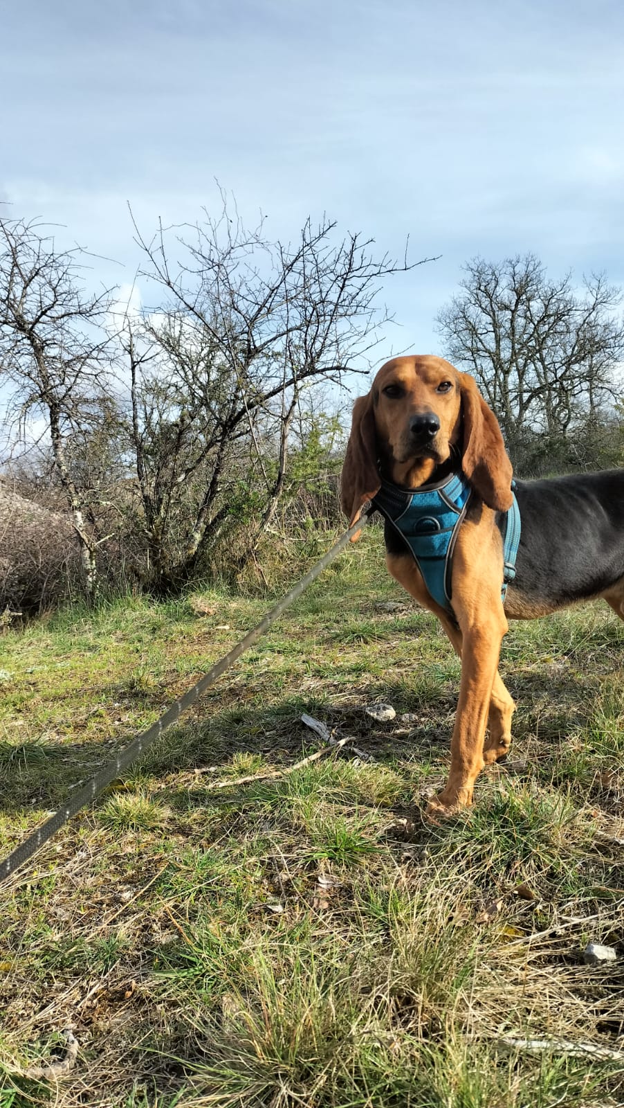 Whatsapp image 2025 03 23 at 19 15 28