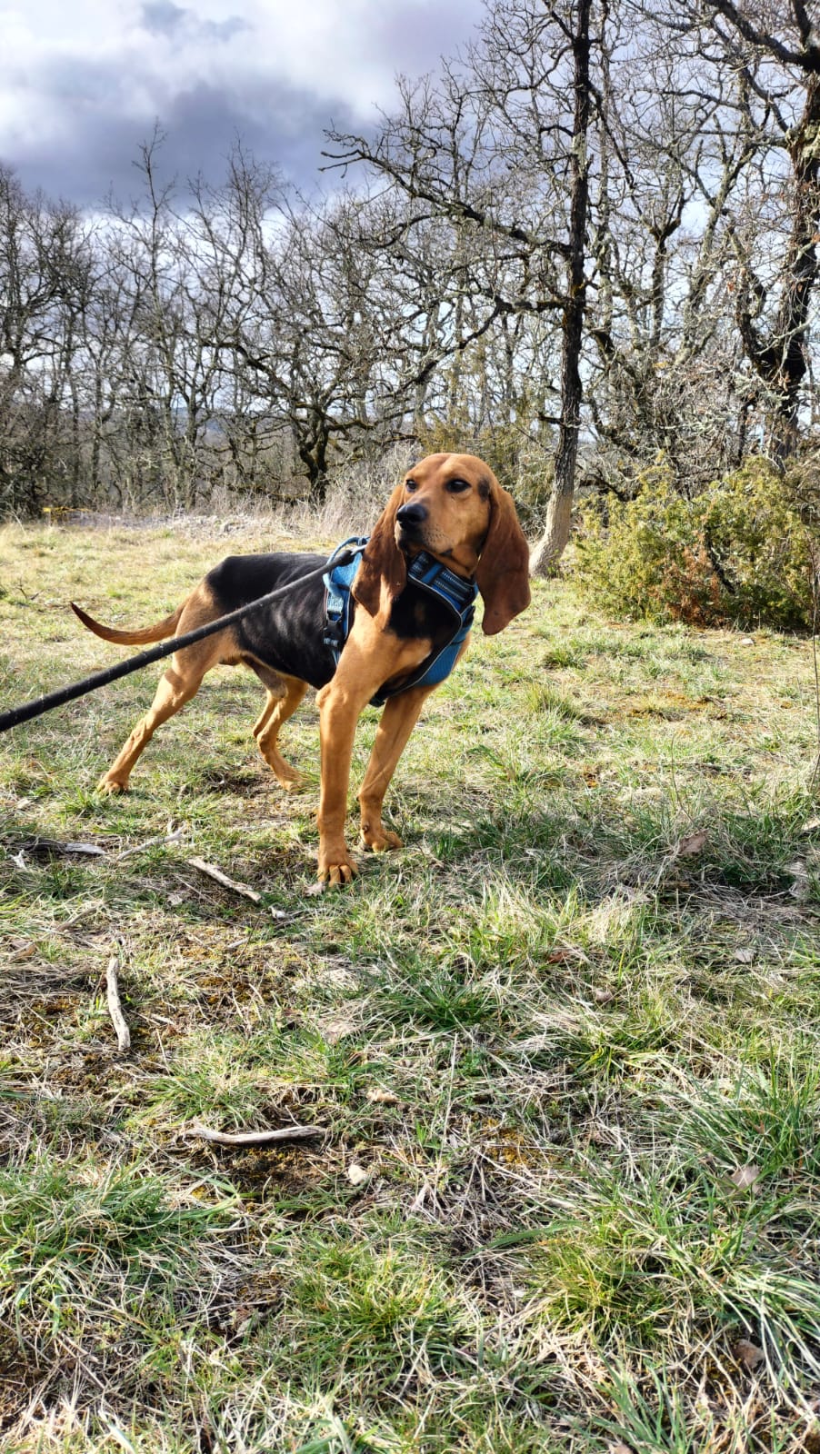 Whatsapp image 2025 03 23 at 19 15 27