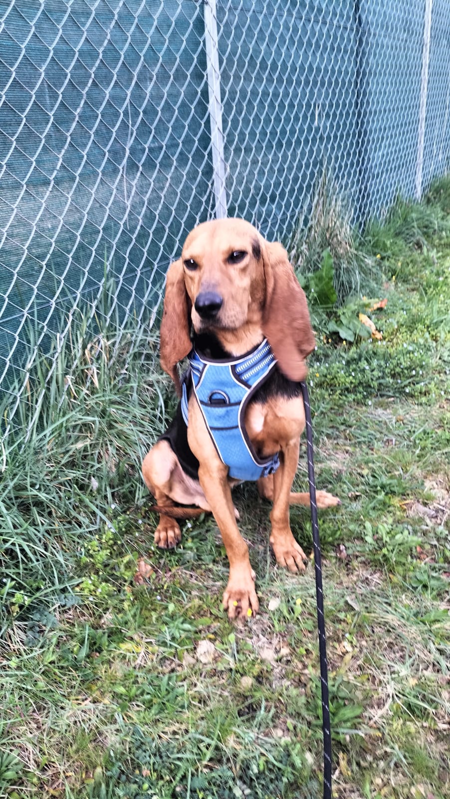 Whatsapp image 2025 03 22 at 18 52 05