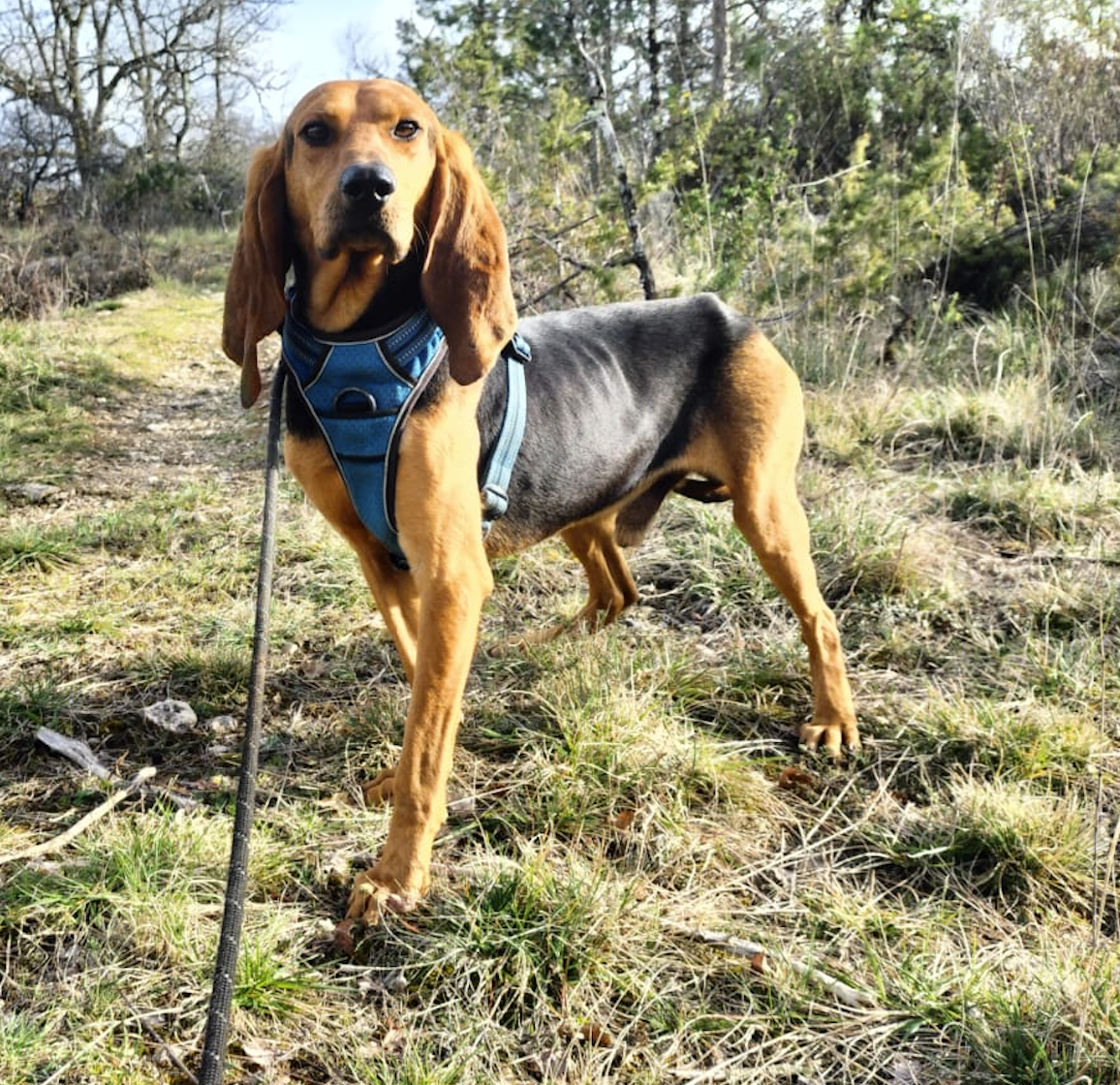 Capture d ecran 2025 03 24 a 08 40 10