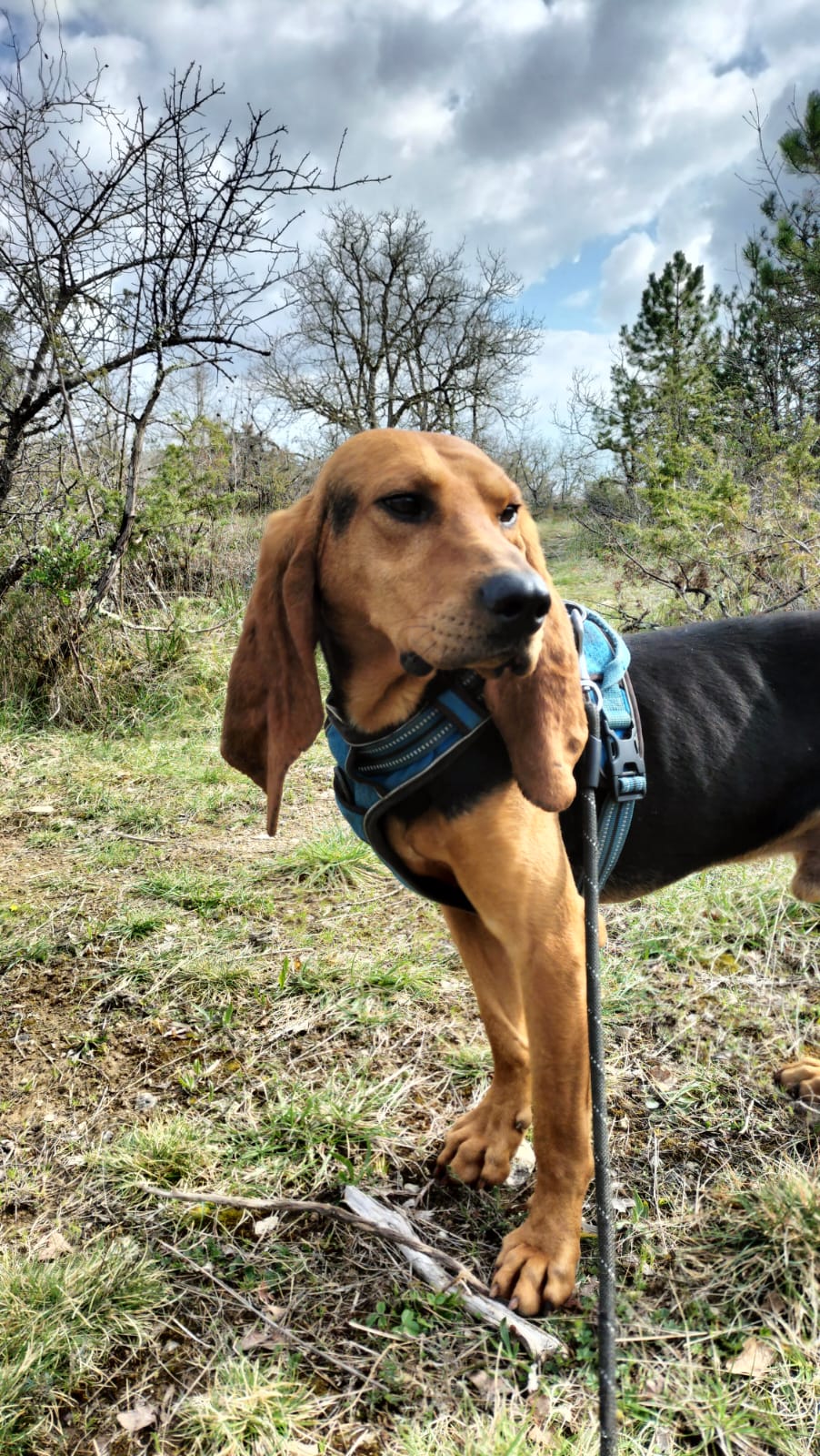 Whatsapp image 2025 03 26 at 18 25 27 1 