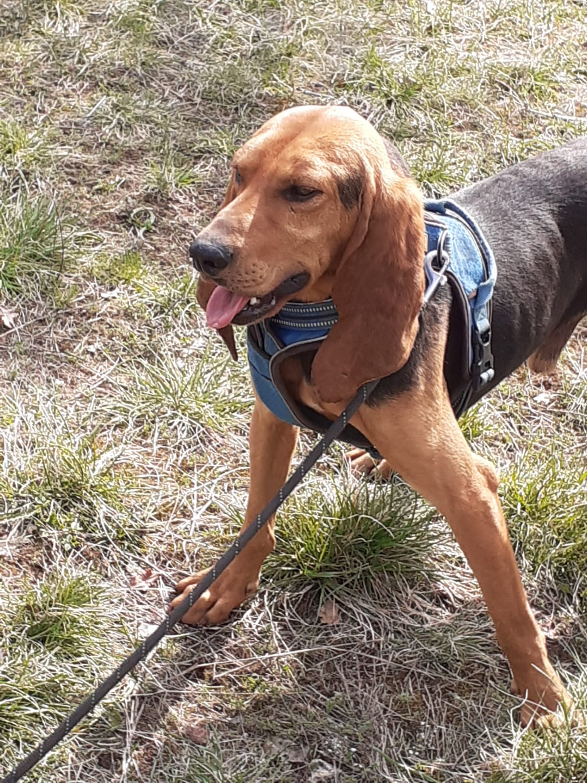 Whatsapp image 2025 03 26 at 18 32 31