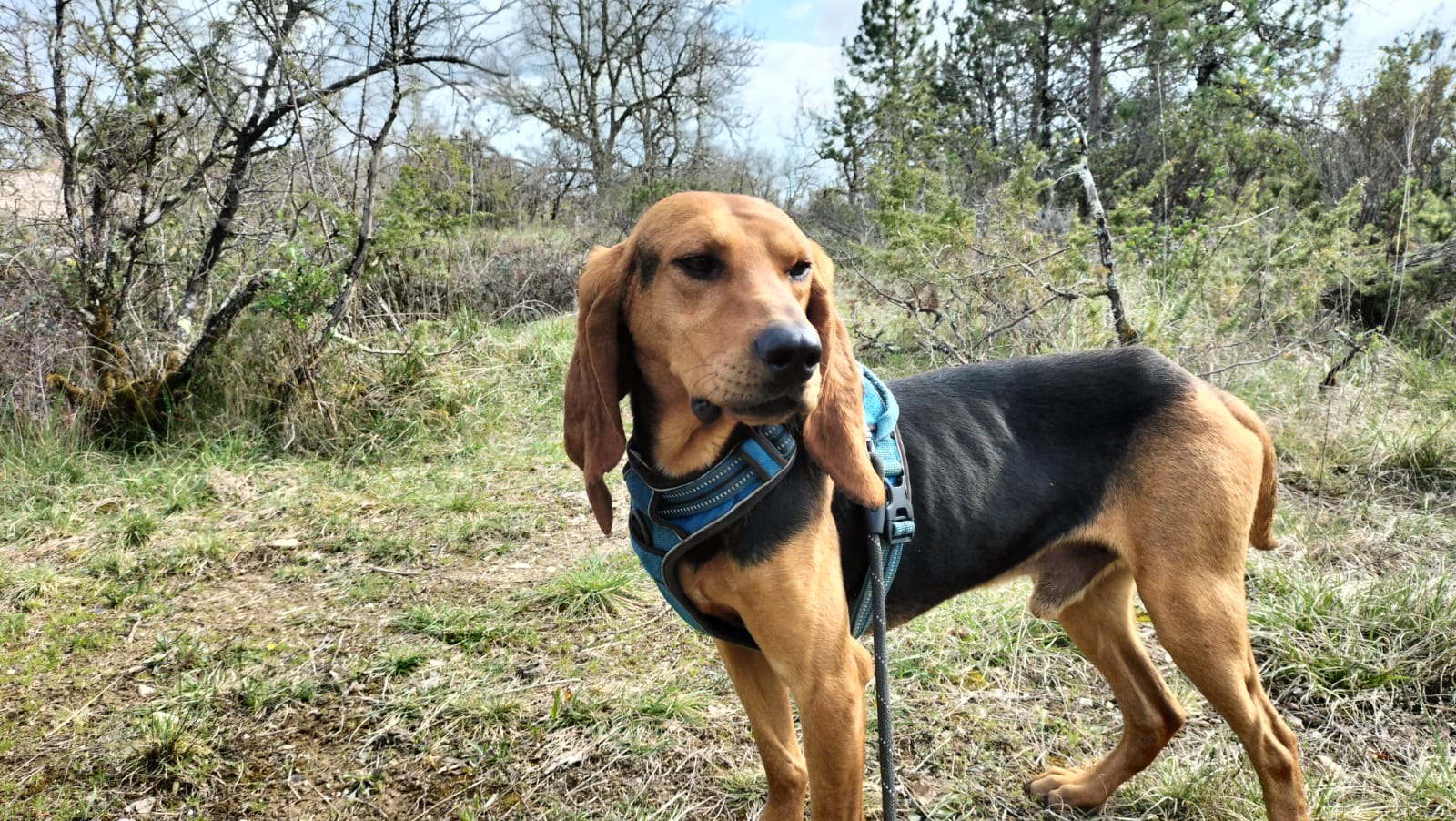 Whatsapp image 2025 03 26 at 18 25 27 2 