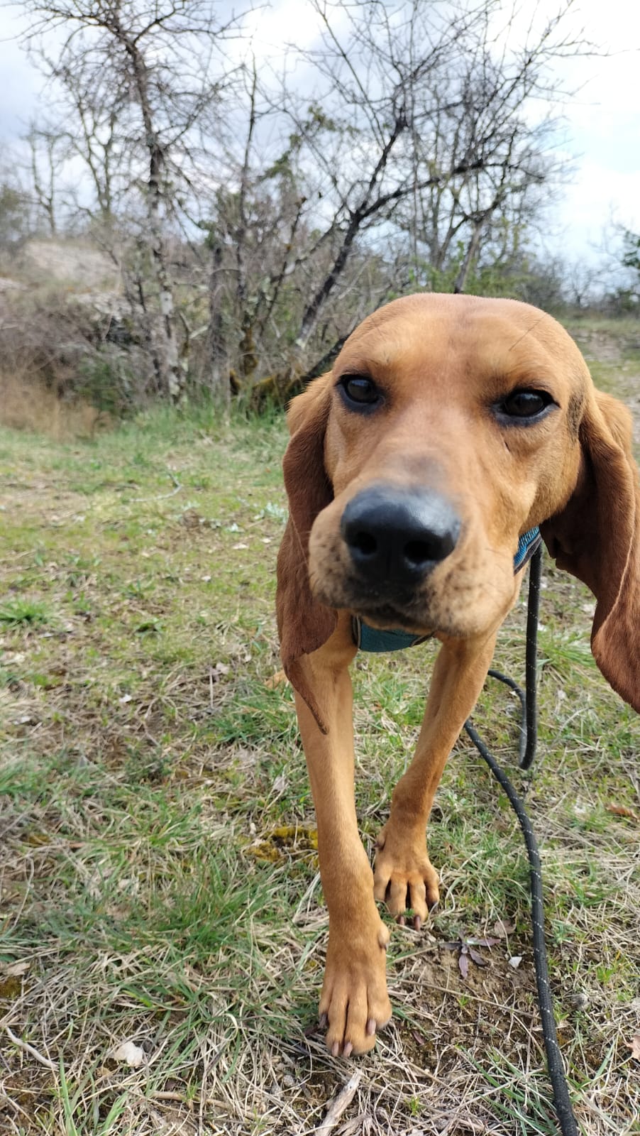 Whatsapp image 2025 03 26 at 18 25 26