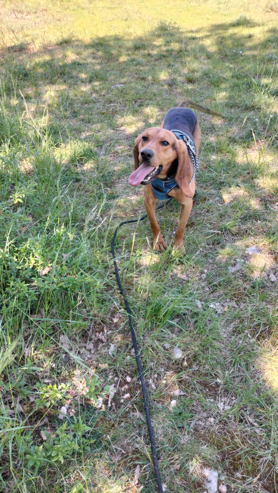 Whatsapp image 2025 04 30 at 20 09 36