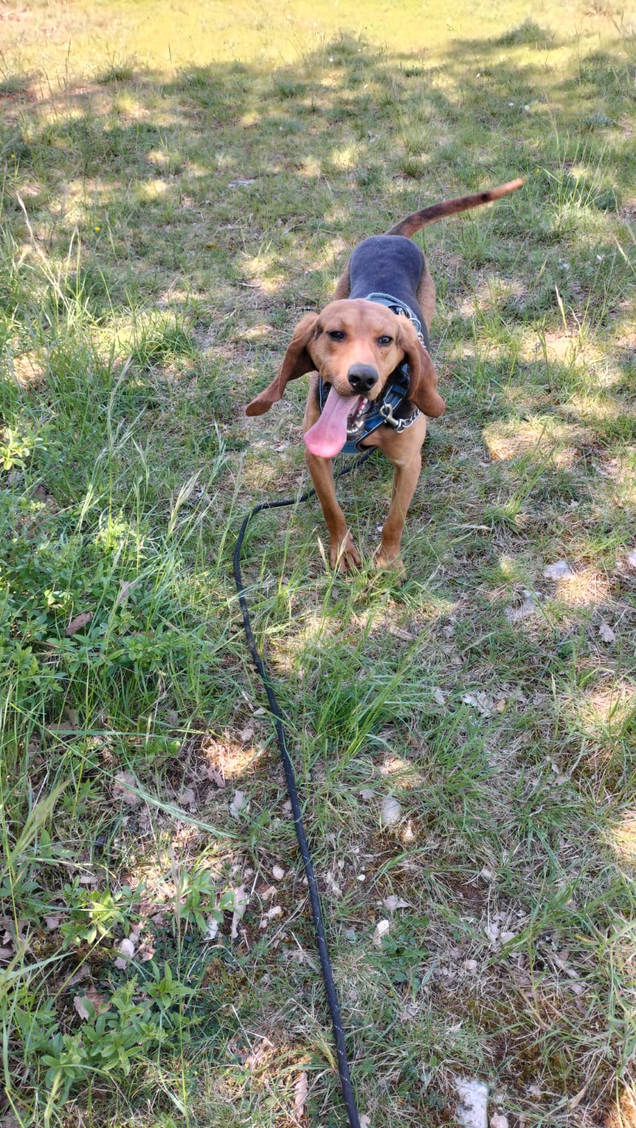 Whatsapp image 2025 04 30 at 20 09 39