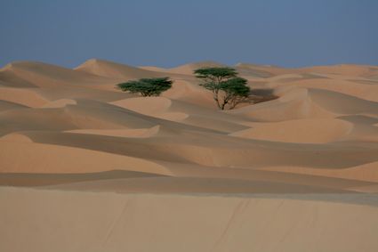 Sahara mauritanie 2cv dunes de sert cyril et sylvie dunes 2