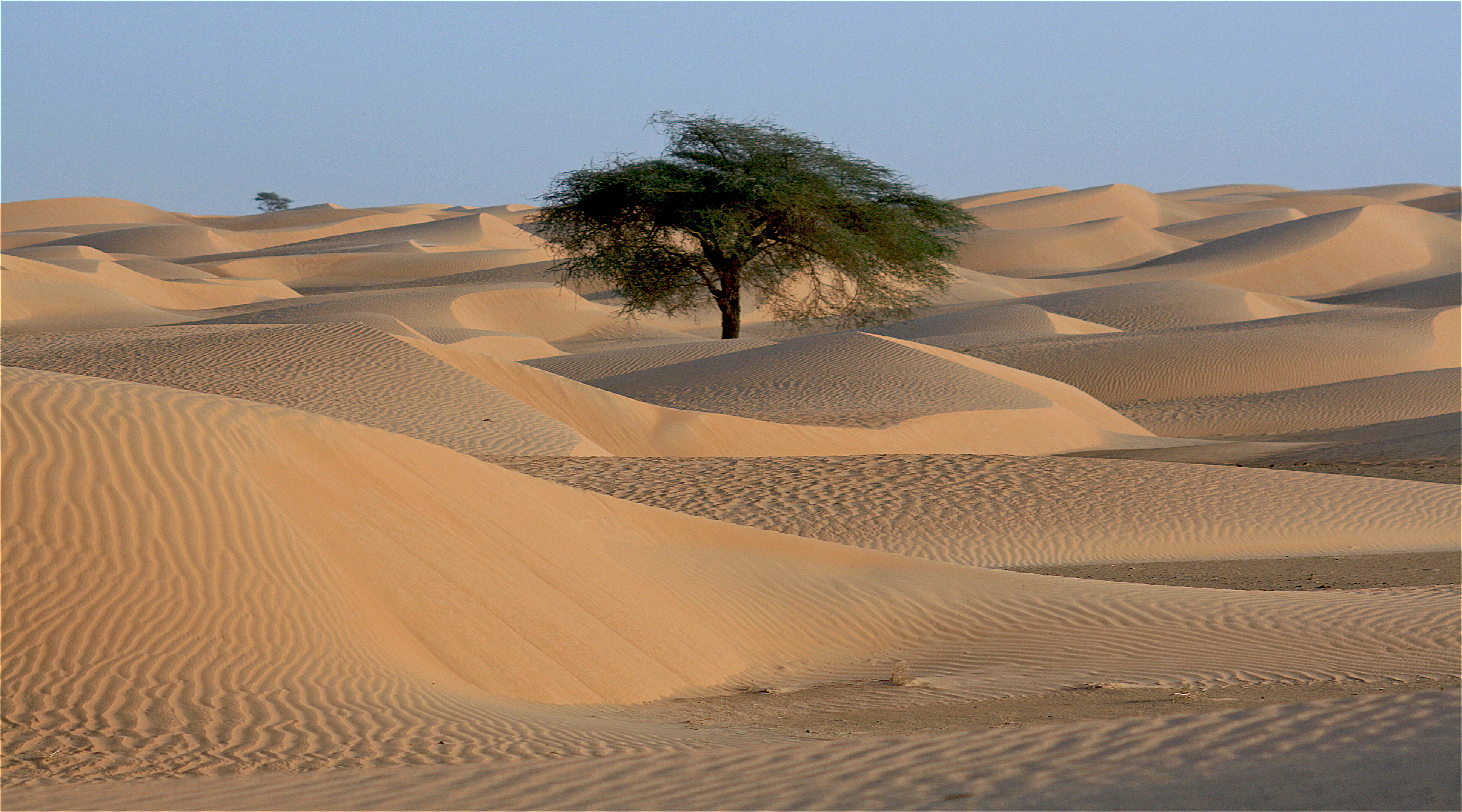 Sahara mauritanie 2cv dunes de sert cyril et sylvie dunes 9