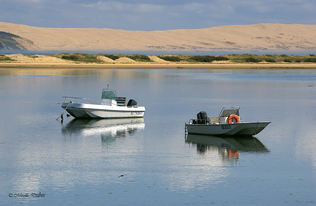 2009 05 09au 10 cap ferret loulou 152 
