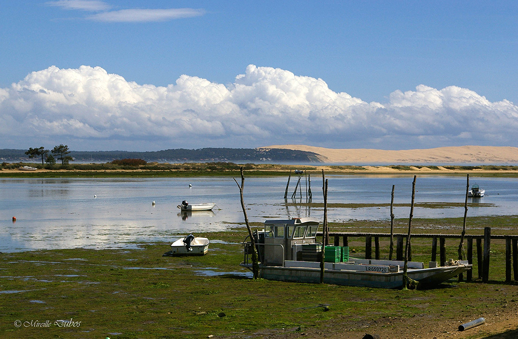 2009 05 09au 10 cap ferret loulou a 139 