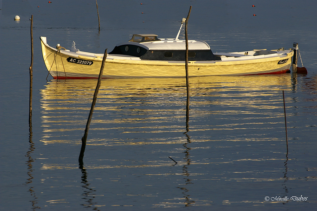 2009 05 09au 10 cap ferret loulou a 215 