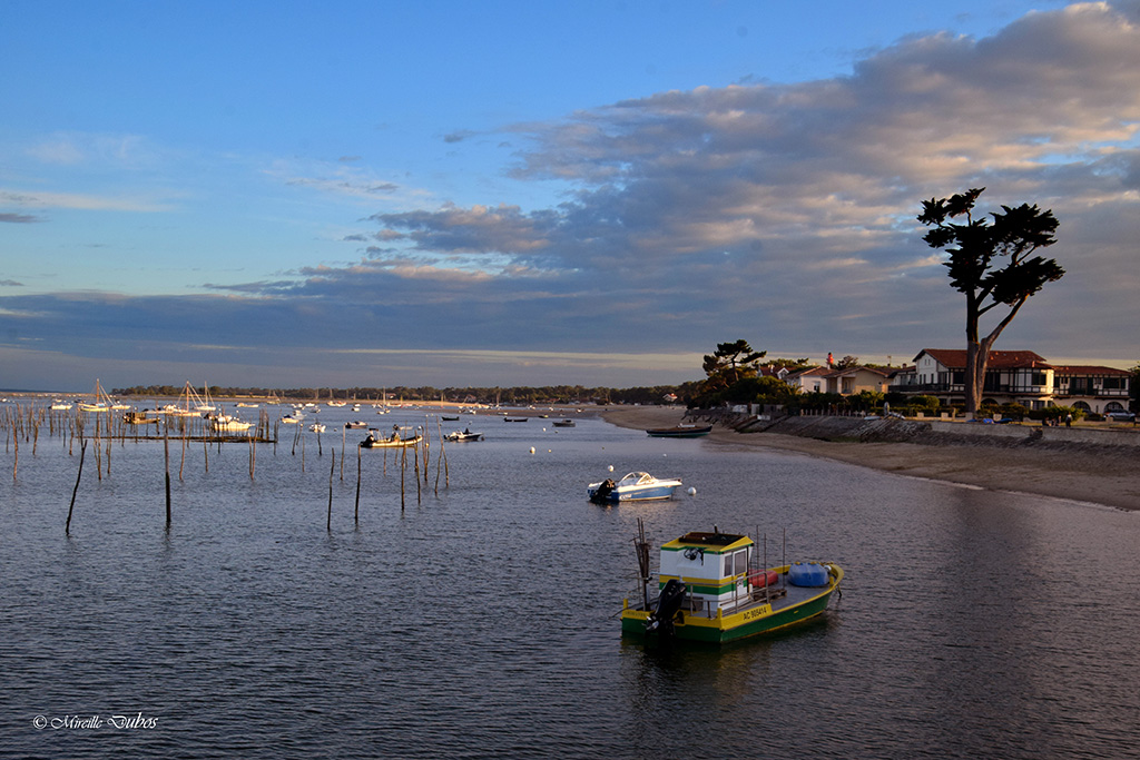 Dsc 0006a