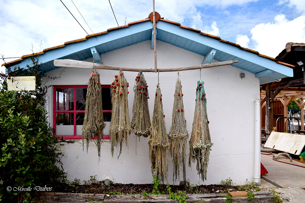 Dsc 0158a
