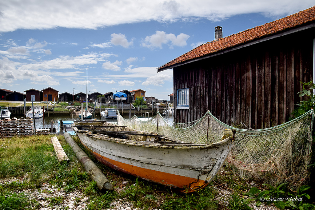 Dsc 0253 v