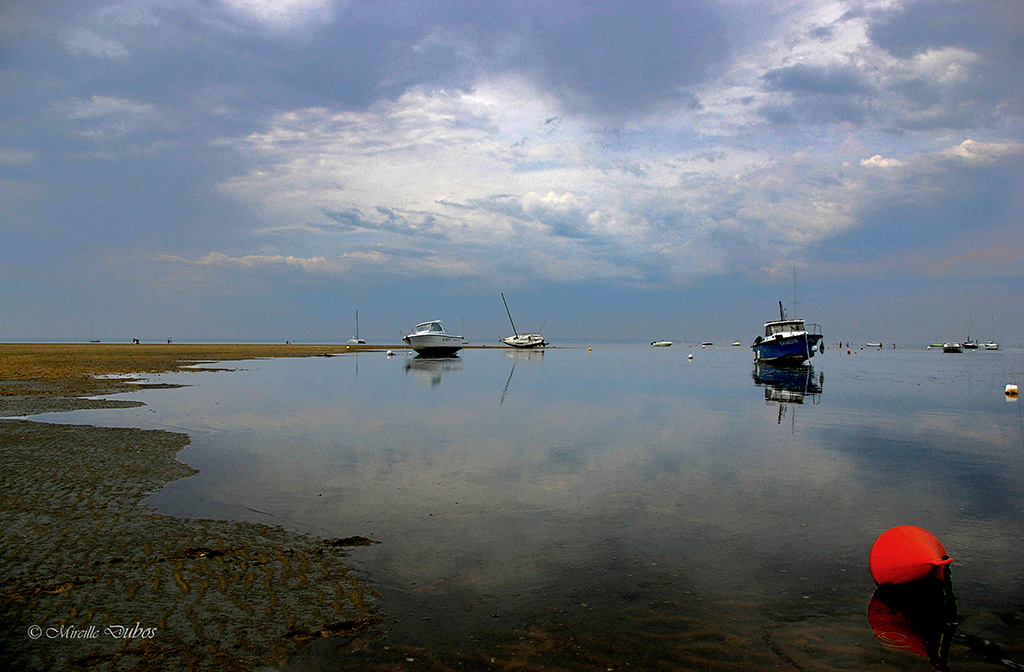 Imgp7334a