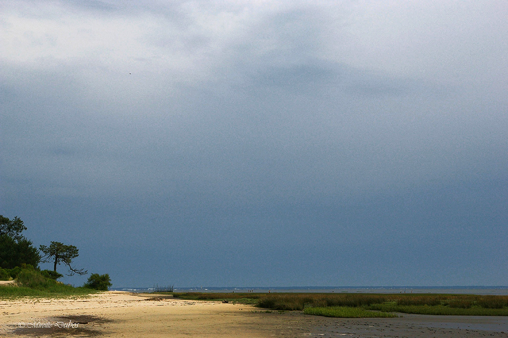 Imgp7495a