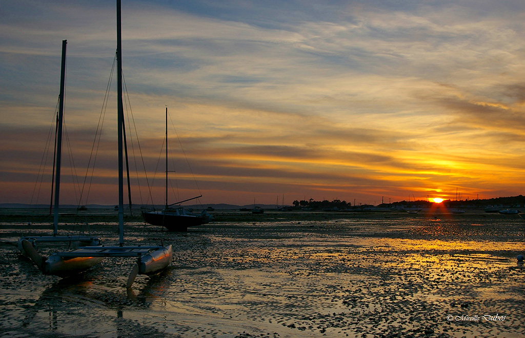Imgp7554a