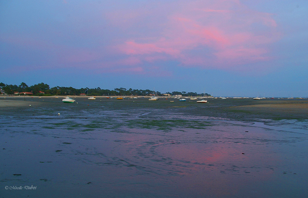 Imgp7572a