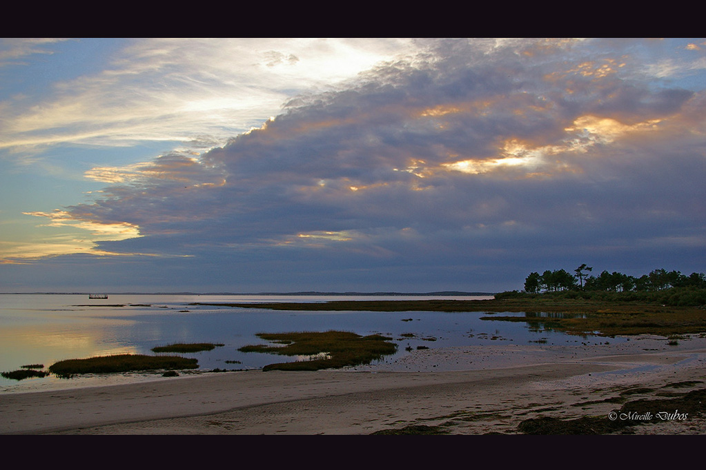 2010 10 06 andernos 132 a