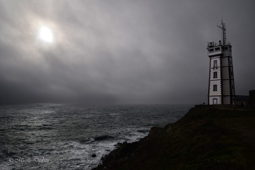 Dsc 0079 v