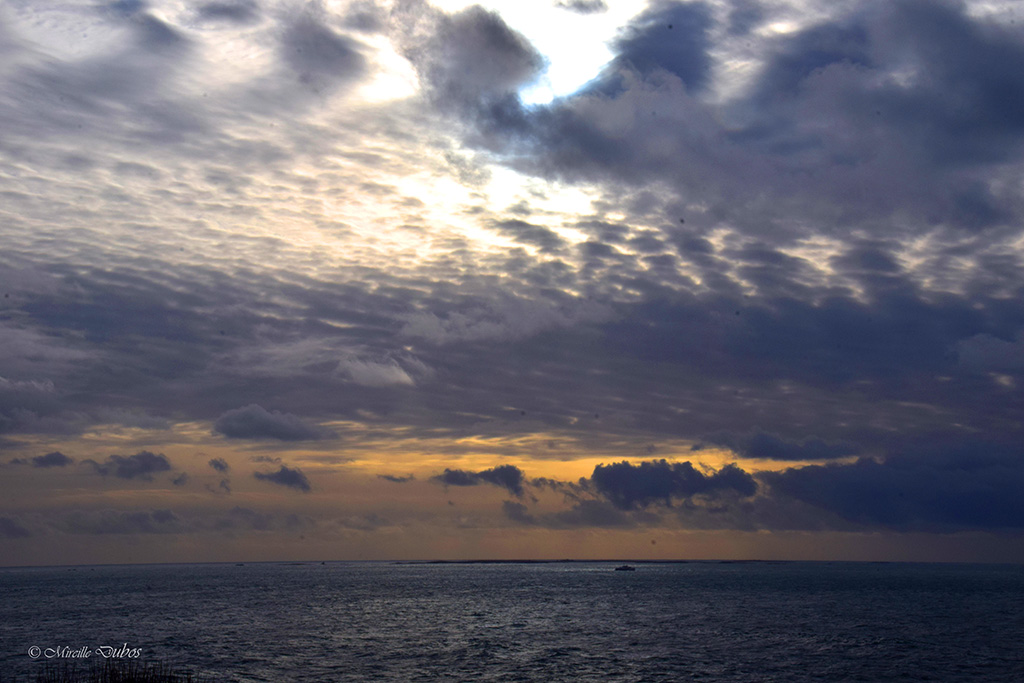 Dsc 0083a