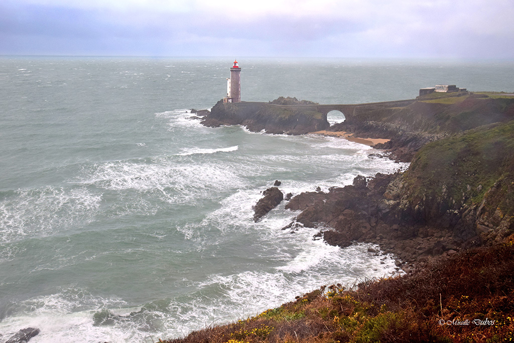 Dsc 0164a