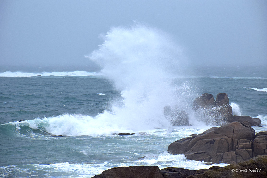 Dsc 0307a