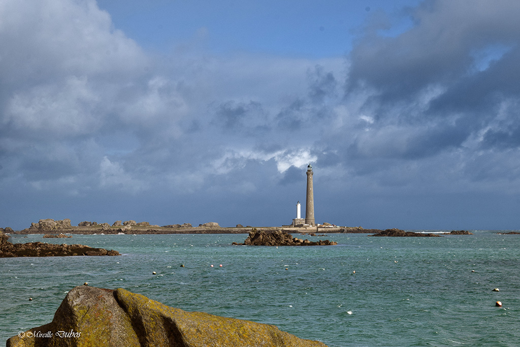 Dsc 0516a