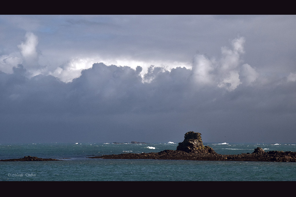 Dsc 0534a