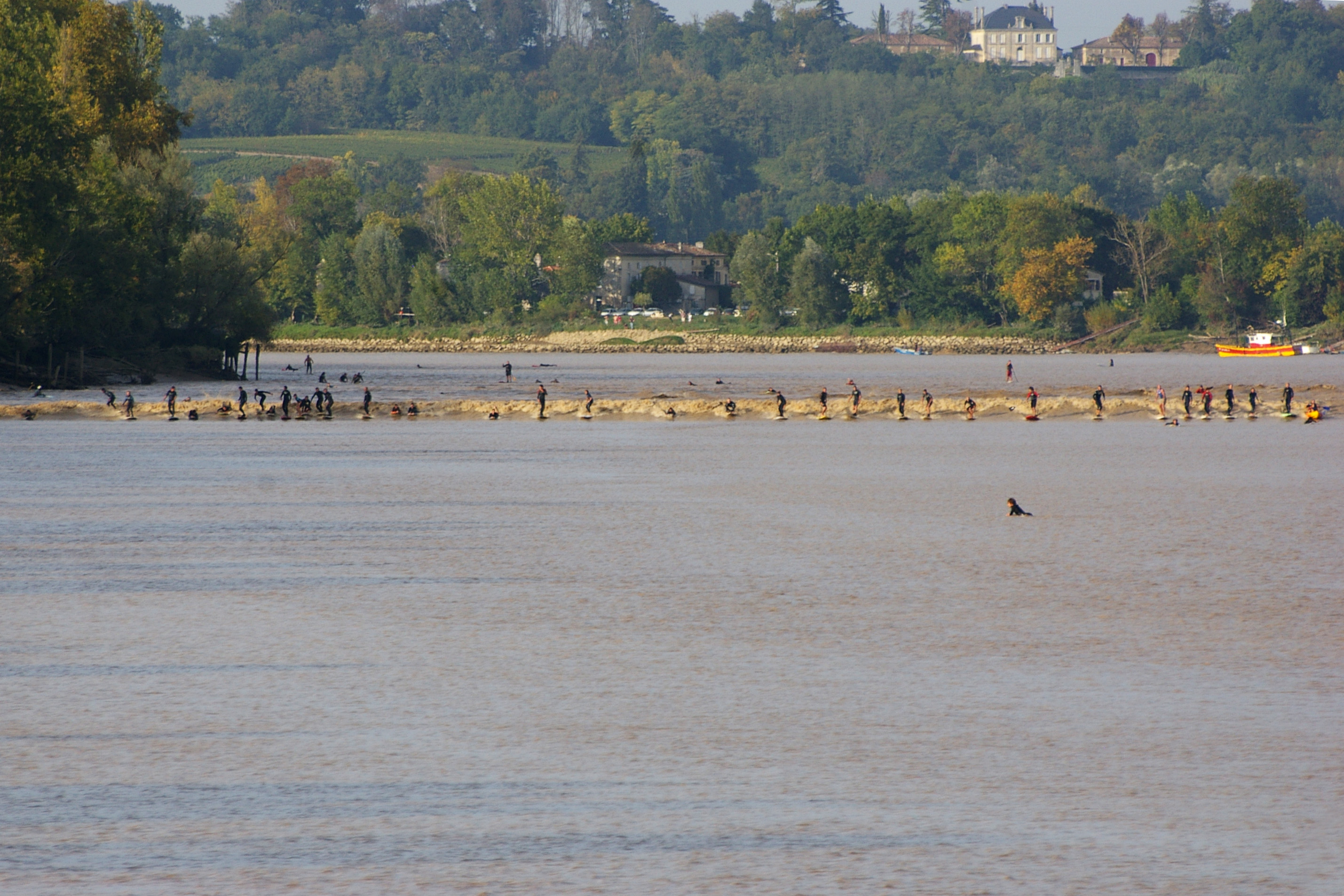 Imgp2526 v